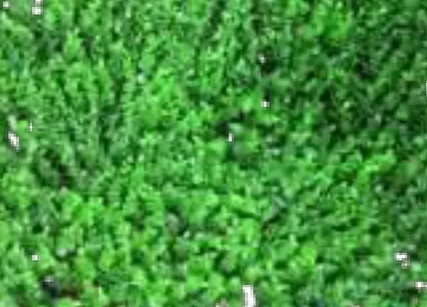 Ball Leaves Artificial Grass (Wall) design