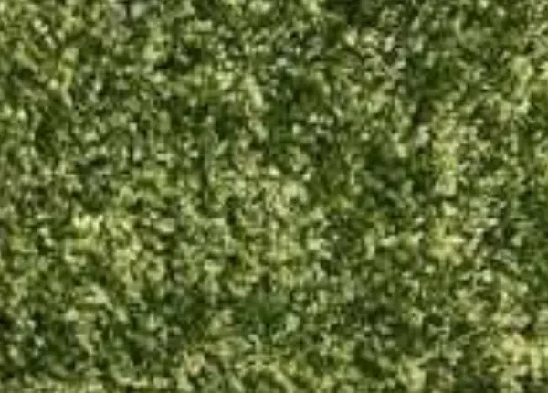 Small White Leaves Artificial Grass (Wall) design