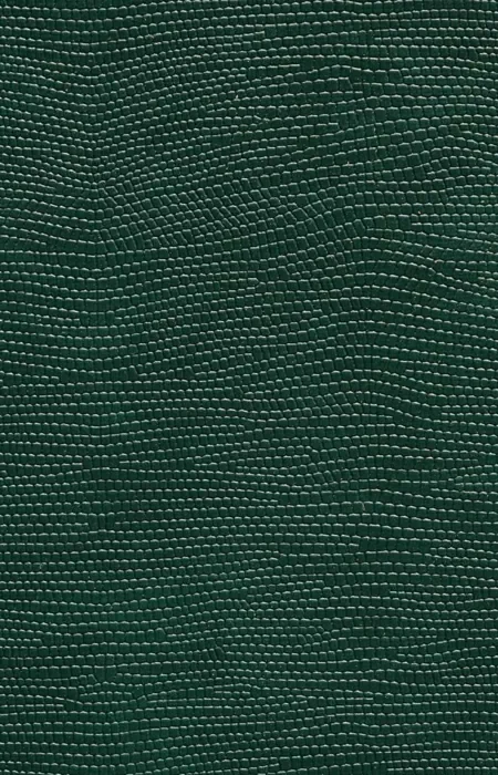 ED-A-1012 Faux Leather Laminates design