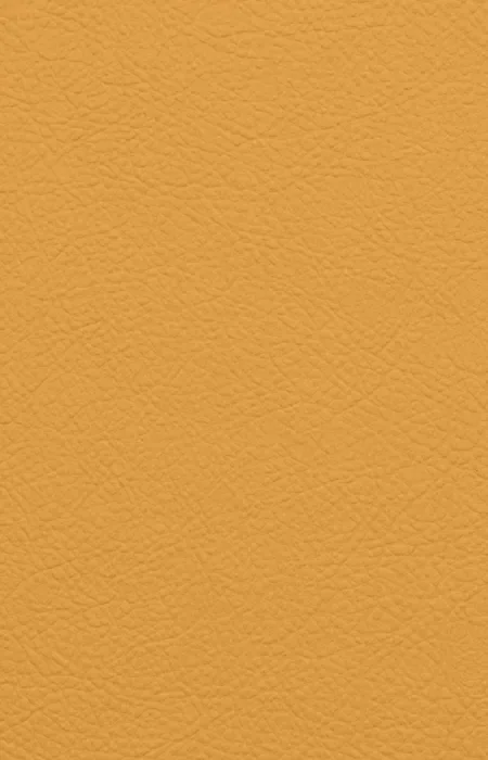 ED-X-016 Faux Leather Laminates design