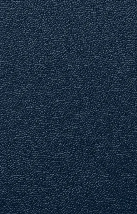 ED-X-030 Faux Leather Laminates design