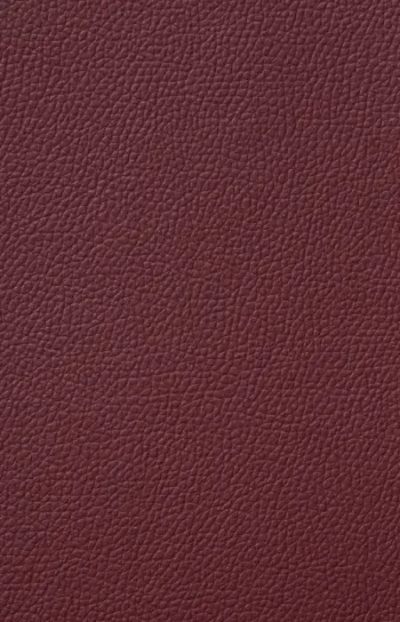 ED-X-038 Faux Leather Laminates design