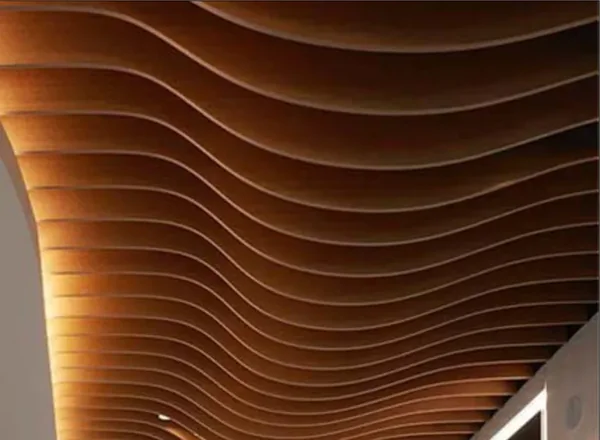 2449 Parametric Ceiling design