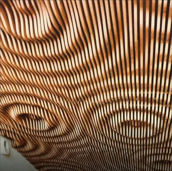 2453 Parametric Ceiling design