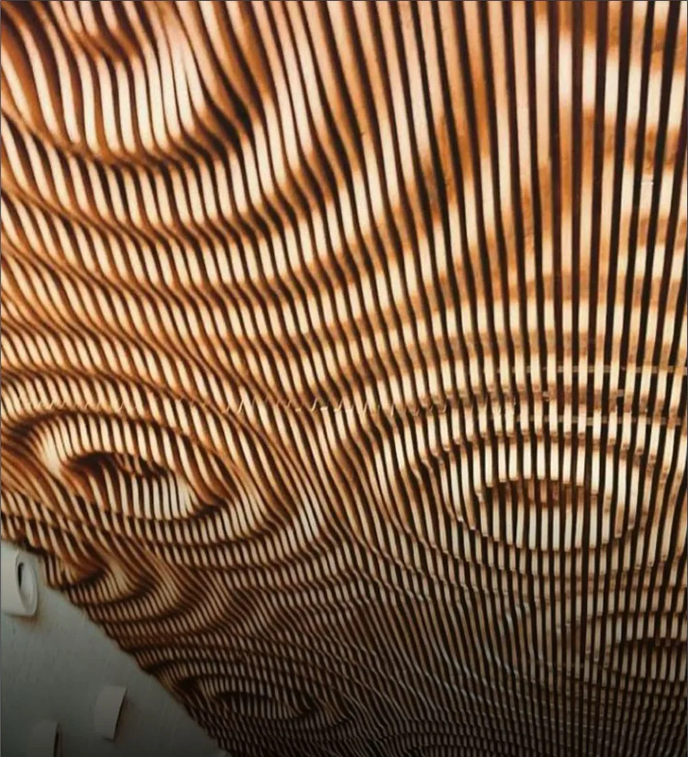 Parametric Ceiling in an interior